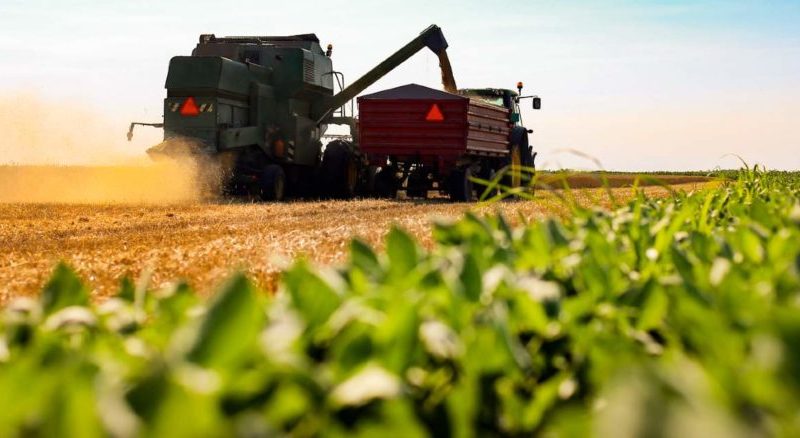 O que significa tornar a produção de alimentos mais sustentável