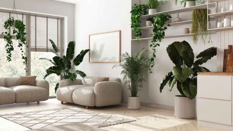 5 dicas para incorporar a biofilia na decoração