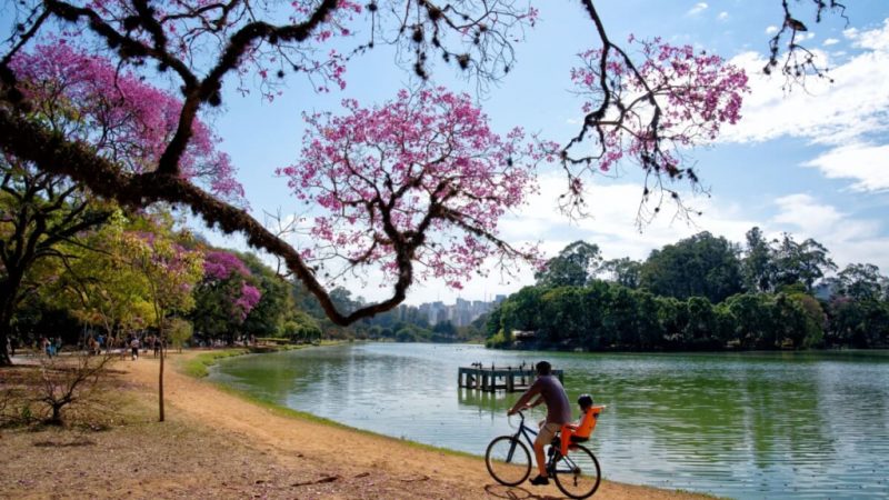 5 rotas de bike para aproveitar a primavera no Brasil