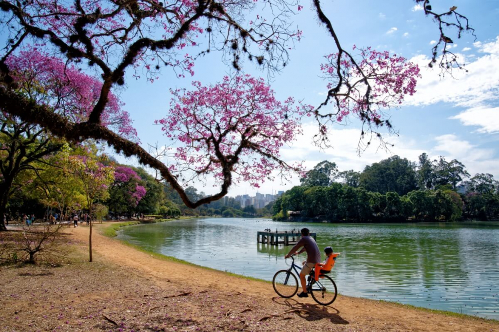 5 rotas de bike para aproveitar a primavera no Brasil