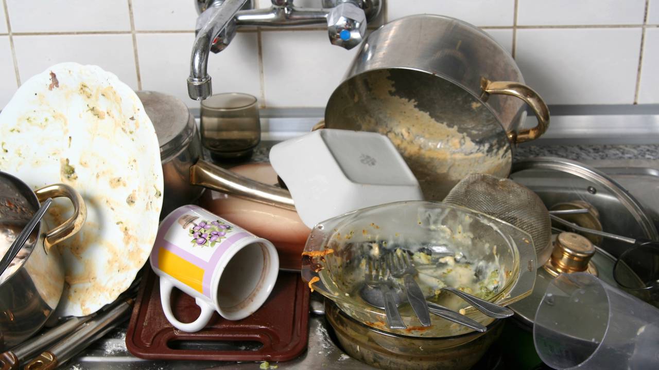 Louça suja dormiu na pia? Veja os hábitos que atraem pragas para dentro de casa