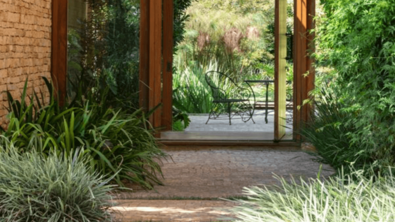 5 cuidados essenciais com as plantas no inverno