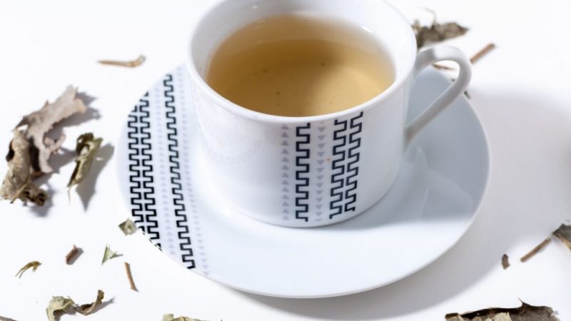 Chá de espinheira-santa: para que serve e 3 receitas para o dia a dia