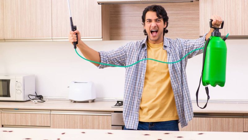 Cinco locais da casa onde baratas aparecem e como aplicar receita caseira com bicarbonato para elimina-las