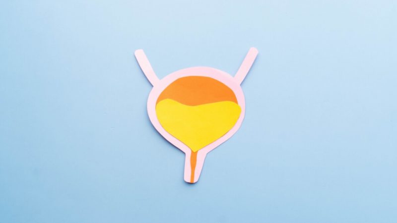 Cistite na menopausa: entenda condição que fez Solange Couto passar mal no BBB 26