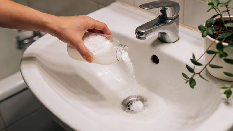 Dê adeus às baratas do ralo: a solução natural que age no encanamento sem usar inseticidas