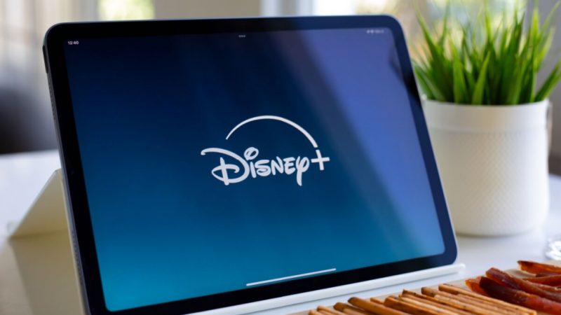 Disney+: 5 filmes e séries que chegam à plataforma em fevereiro de 2026