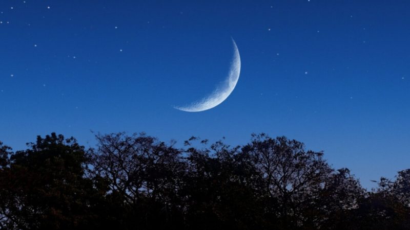 Lua hoje: veja qual é a fase lunar desta terça-feira, 10 de fevereiro de 2026