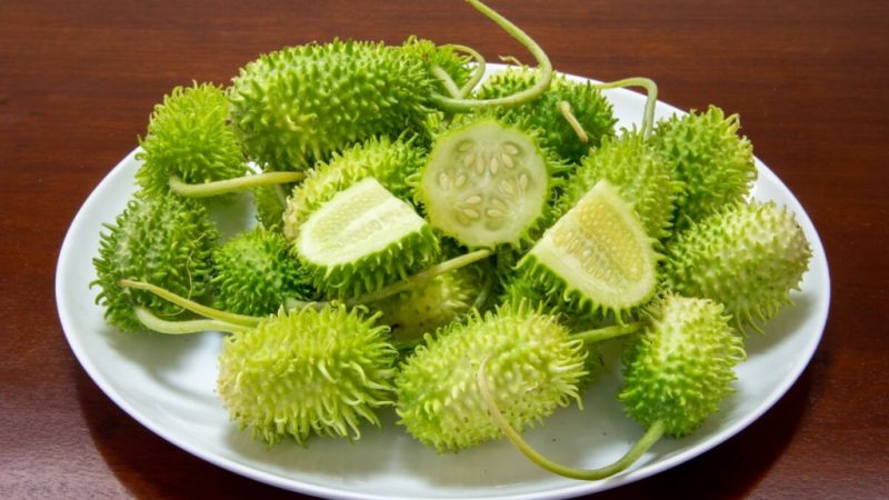 Maxixe ajuda a emagrecer? Veja 6 benefícios do vegetal e como incluir na dieta