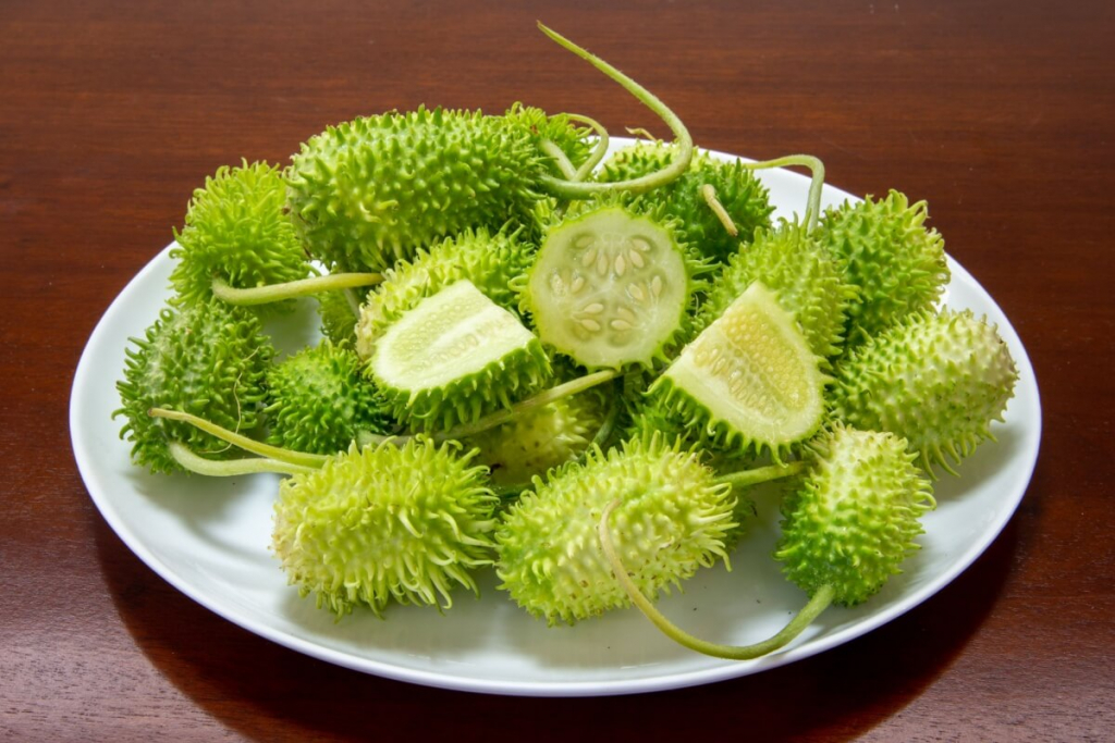 Maxixe ajuda a emagrecer? Veja 6 benefícios do vegetal e como incluir na dieta