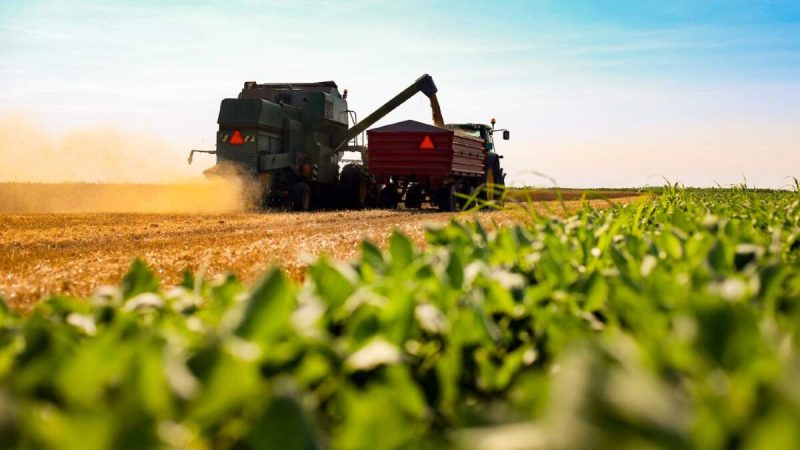 O que significa tornar a produção de alimentos mais sustentável