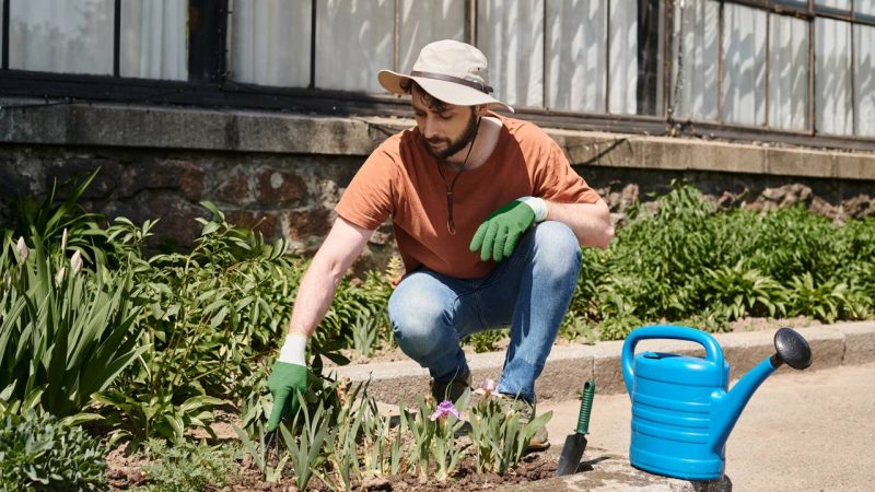 Sol, sombra ou meia-sombra? Acerte no lugar ideal para sua planta