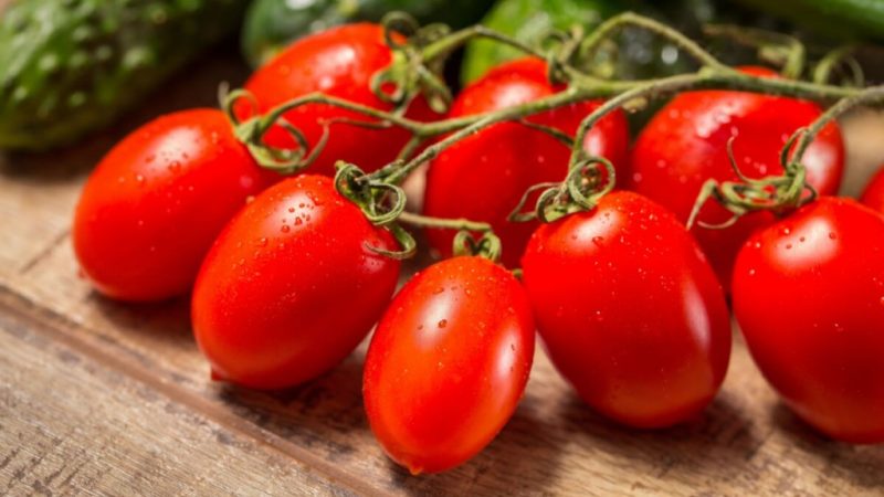 Tomate: benefícios para a saúde e dicas para incluir na dieta