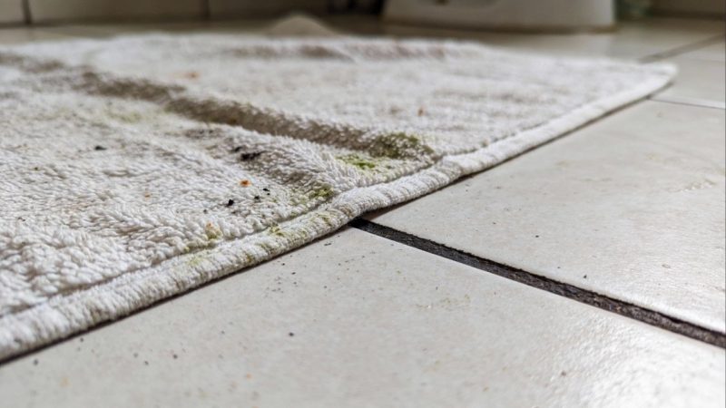 Usar tapete de pano no banheiro: entenda por que isso acumula sujeira e mau cheiro e como evitar fungos no piso