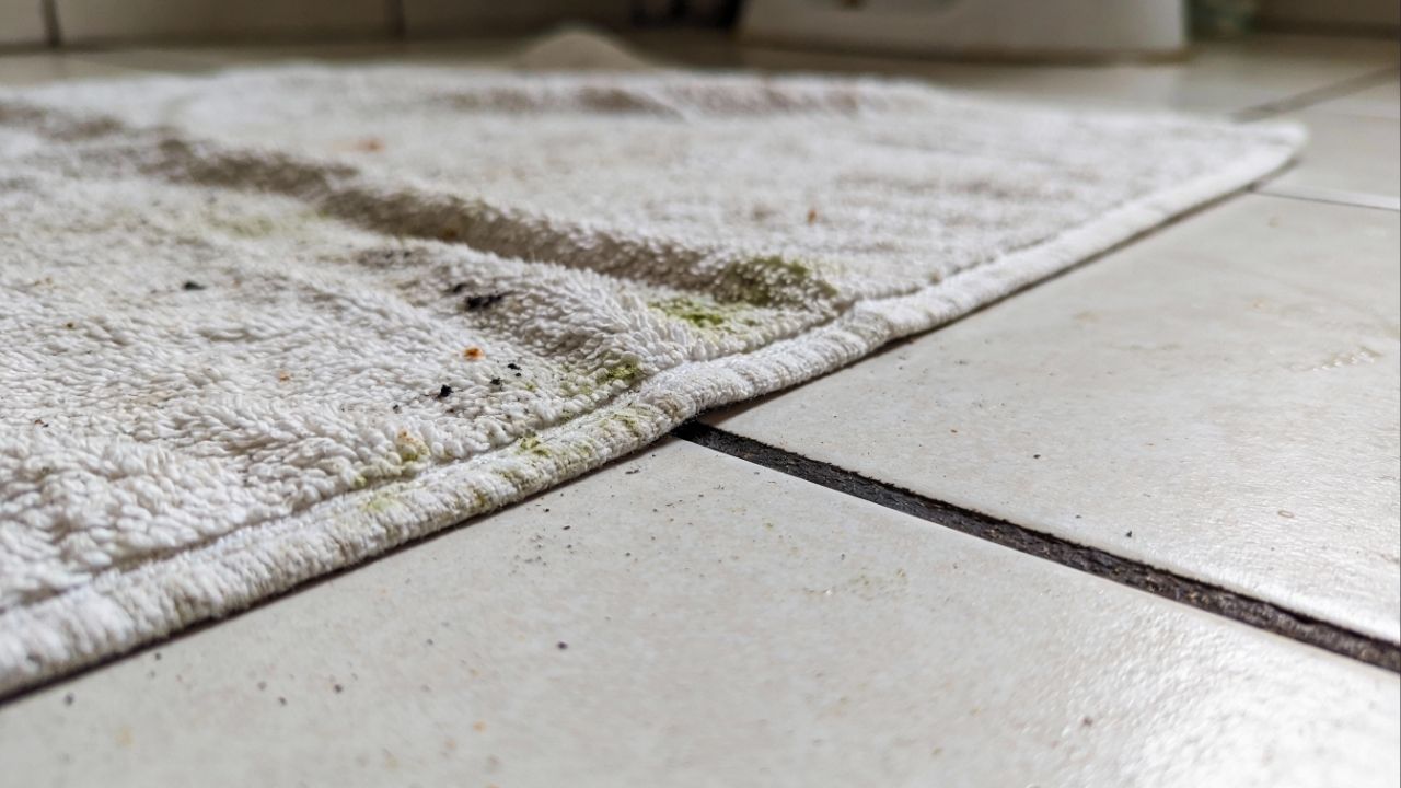 Usar tapete de pano no banheiro: entenda por que isso acumula sujeira e mau cheiro e como evitar fungos no piso