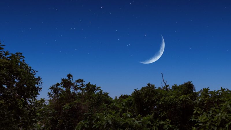 Lua hoje: veja qual é a fase lunar desta segunda-feira, 16 de março de 2026