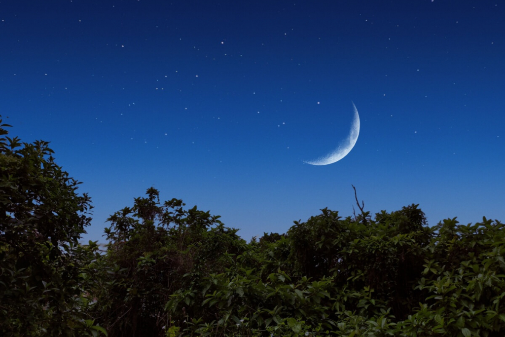 Lua hoje: veja qual é a fase lunar desta segunda-feira, 16 de março de 2026
