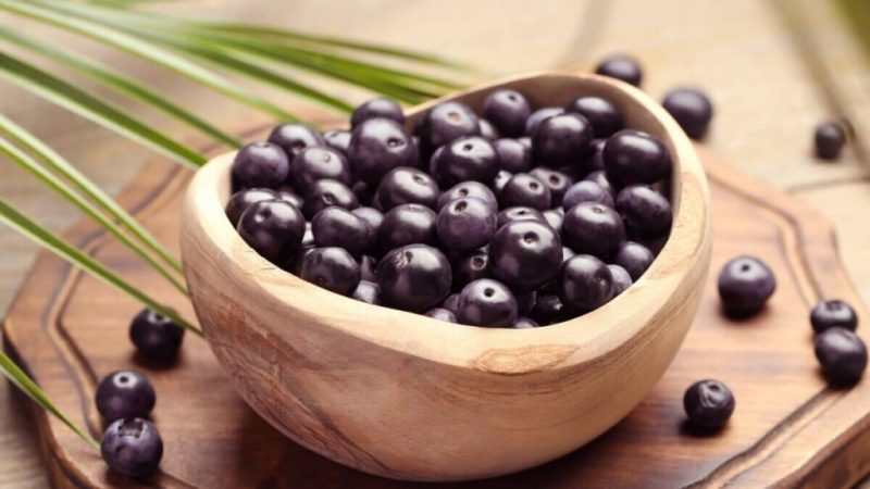 Açaí: entenda como a fruta pode impactar o cérebro e o humor