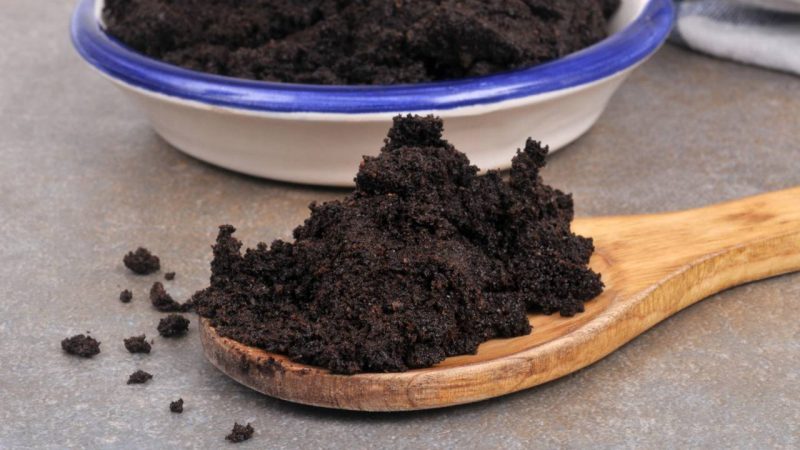 Combate ao Aedes aegypti: aprenda a usar o pó de café nos vasos como aliado contra a água parada