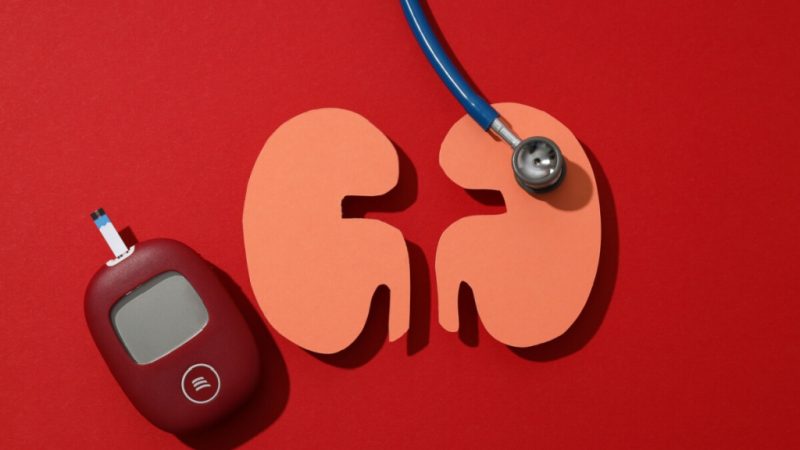 Diabetes e hipertensão arterial: entenda como essas doenças afetam os rins