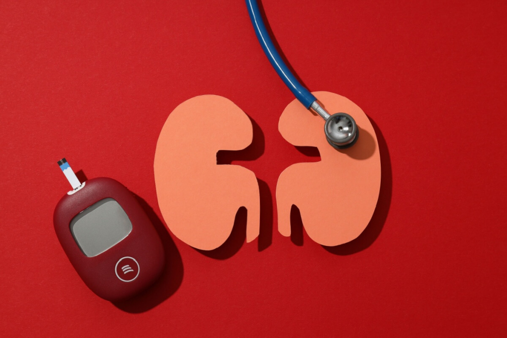 Diabetes e hipertensão arterial: entenda como essas doenças afetam os rins