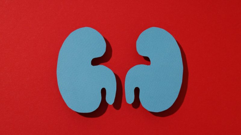 Março Vermelho: 5 hábitos para evitar o câncer e a insuficiência renal