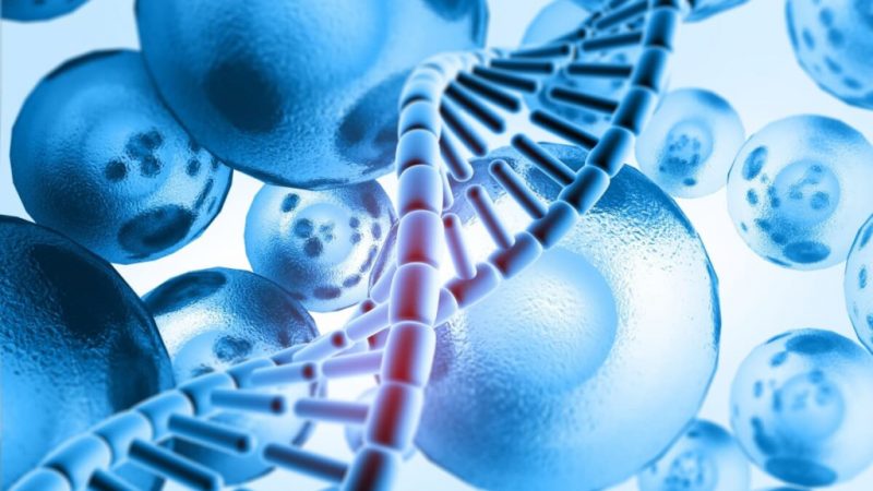 Mercado em alta: medicina regenerativa como protetora da vida ativa e longeva