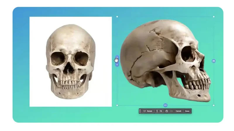 Photoshop ganha ferramenta de IA que rotaciona objetos 2D como se fossem modelos 3D
