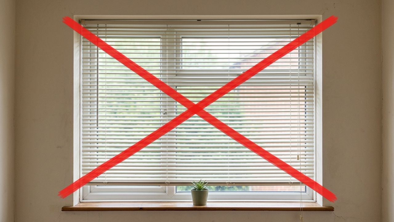 Adeus à veneziana de plástico horizontal que amassa facilmente: as tendências de cortinas rolô e telas solares que dominarão em 2026