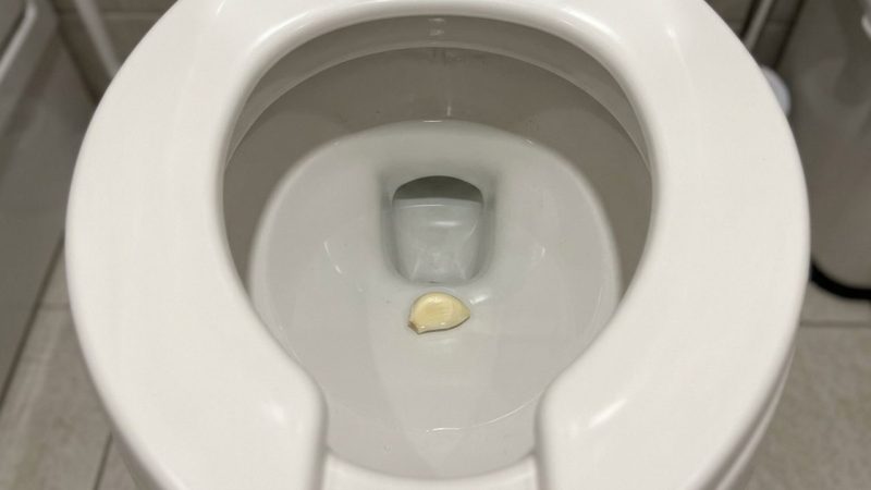 Colocando um dente de alho no vaso sanitário antes de dormir: para que serve e por que eles recomendam