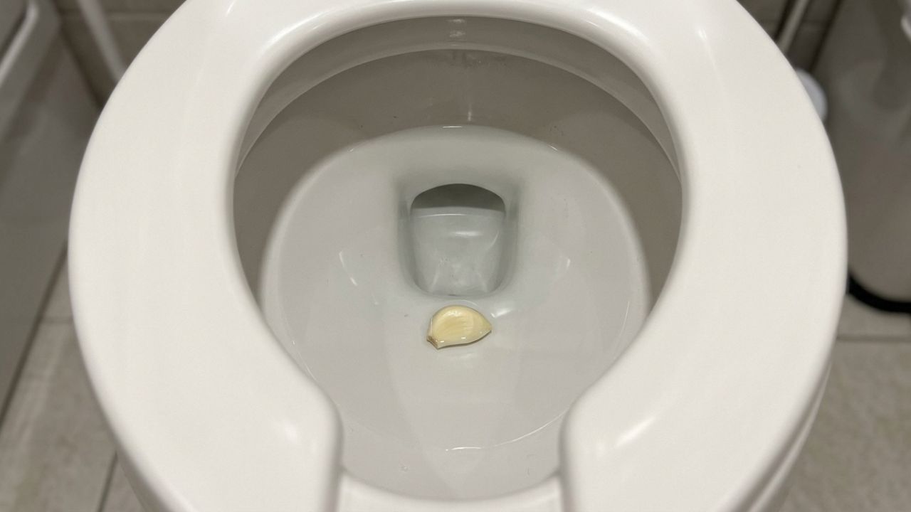 Colocando um dente de alho no vaso sanitário antes de dormir: para que serve e por que eles recomendam