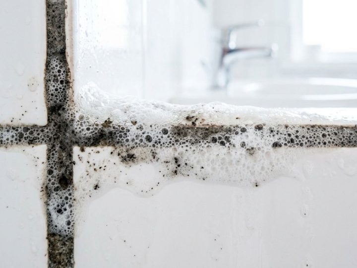 Colocar água oxigenada sobre os rejuntes encardidos do banheiro: para que serve e por que recomendam