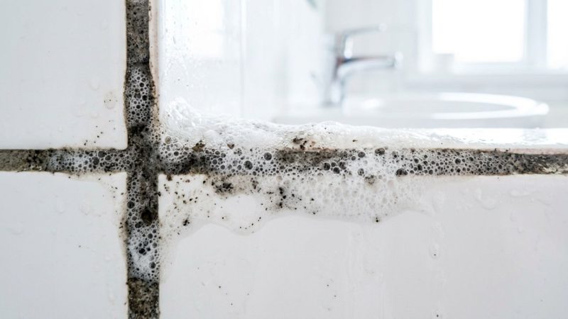 Colocar água oxigenada sobre os rejuntes encardidos do banheiro: para que serve e por que recomendam