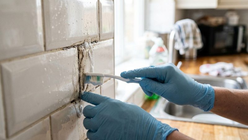 Como limpar e desencardir o rejunte escuro do azulejo na região do fogão: o truque fácil de aplicar uma pasta de sapólio cremoso e esfregar com escova de dentes