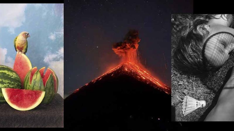 Concurso elege as melhores fotos feitas com iPhone; vencedora usou um iPhone 15 Pro
