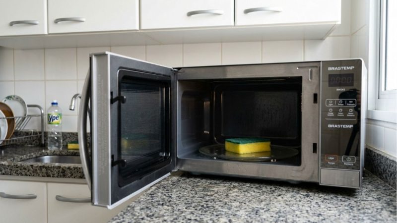 Por que colocar a esponja úmida por um minuto no micro-ondas é melhor para eliminar bactérias do que apenas lavá-la na pia, segundo microbiologista